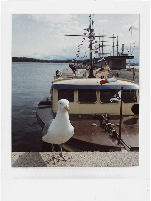 Polaroid Memory Photo Box